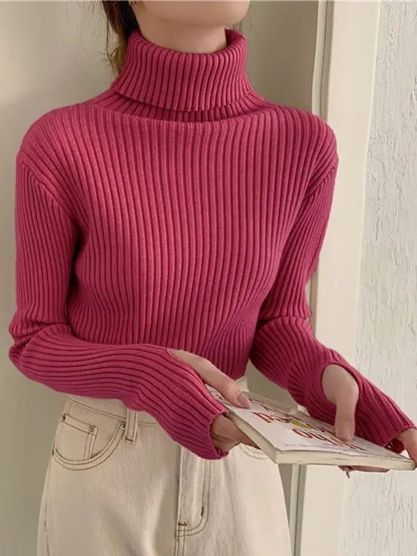 Women's Acrylic Turtleneck Full Sleeves Solid Pattern Sweater