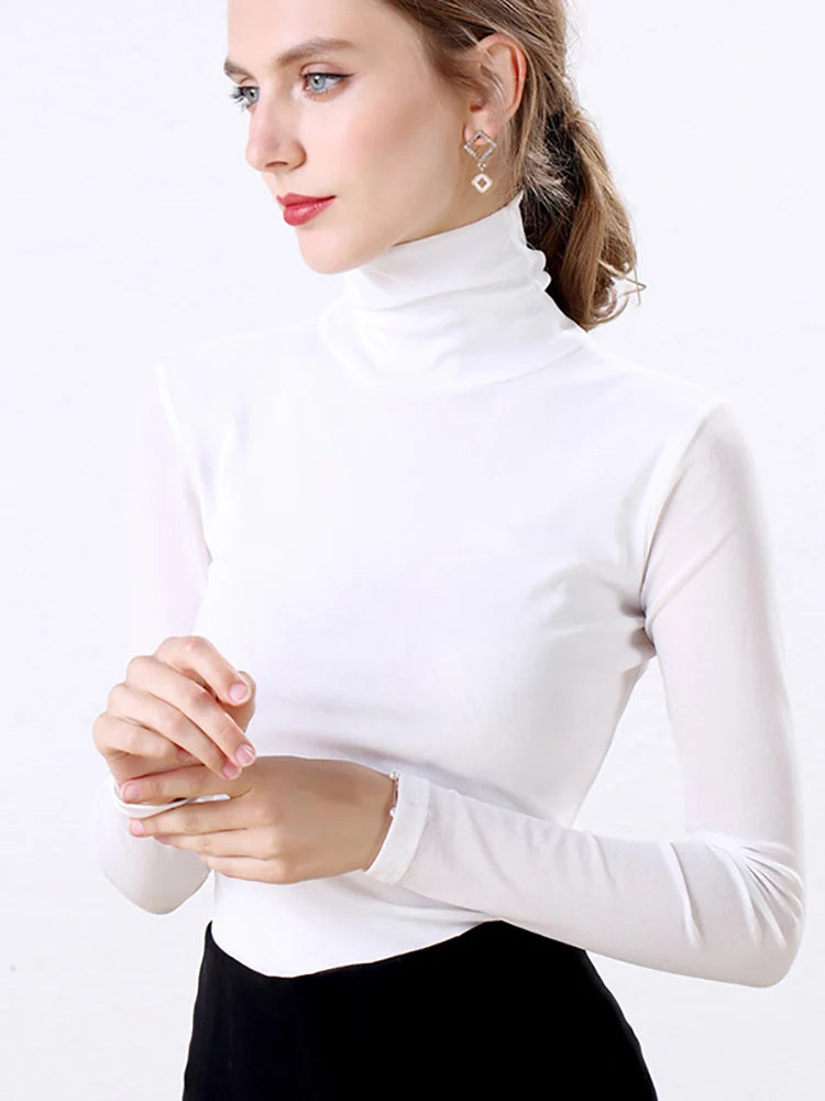 Women's Polyester Turtleneck Long Sleeve Casual Wear Blouse