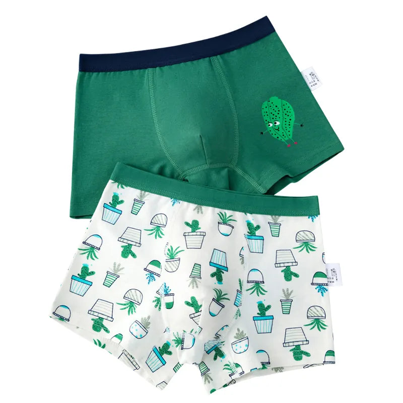 Kid's Boys 2Pcs Cotton Quick-Dry Cartoon Pattern Underwear Shorts