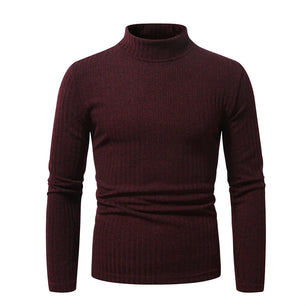 Men's Polyester Turtleneck Full Sleeves Solid Pattern Sweater