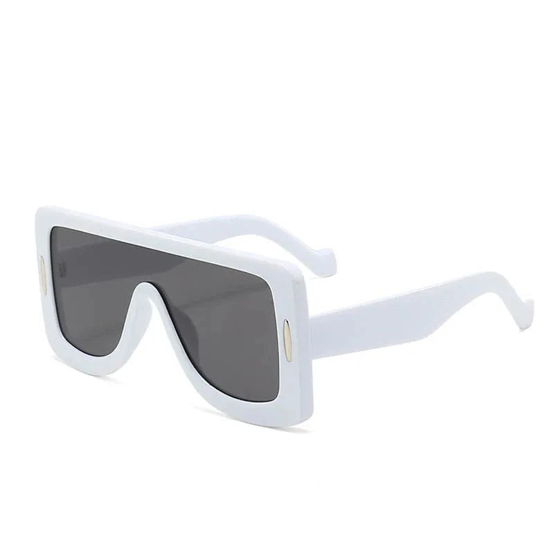 Women's Resin Frame Plastic Lens Square Shaped Vintage Sunglasses