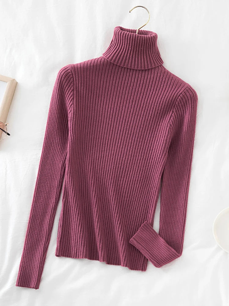 Women's Acrylic Turtleneck Full Sleeves Solid Pattern Sweater