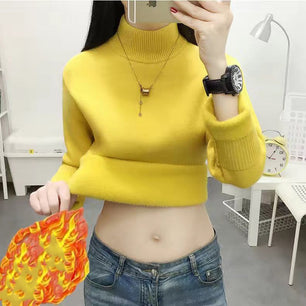 Women's Acrylic Mock Neck Full Sleeves Casual Pullover Sweater