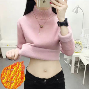 Women's Acrylic Mock Neck Full Sleeves Casual Pullover Sweater