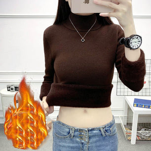 Women's Acrylic Mock Neck Full Sleeves Casual Pullover Sweater