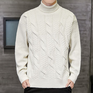 Men's Polyester Turtleneck Full Sleeves Knitted Casual Sweater