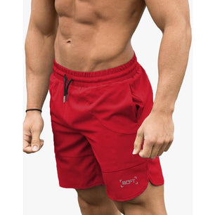 Men's Polyester Quick Dry Fitness Workout Casual Wear Shorts