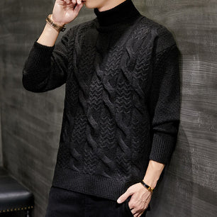 Men's Polyester Turtleneck Full Sleeves Knitted Casual Sweater