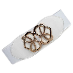 Women's Microfiber Buckle Closure Luxury Waistband Trendy Belts