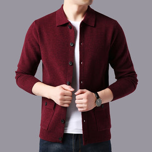 Men's Turn-Down Collar Polyester Full Sleeves Winter Sweater