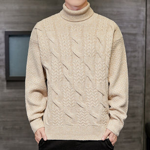 Men's Polyester Turtleneck Full Sleeves Knitted Casual Sweater