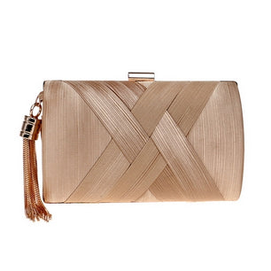 Women's Polyester Tassel Hasp Closure Mini Evening Trendy Clutch